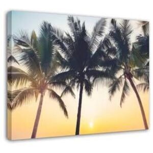 Framed Sunset Coconut Tree Canvas, NEW